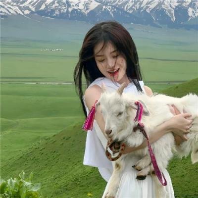 壳中少女 排气
